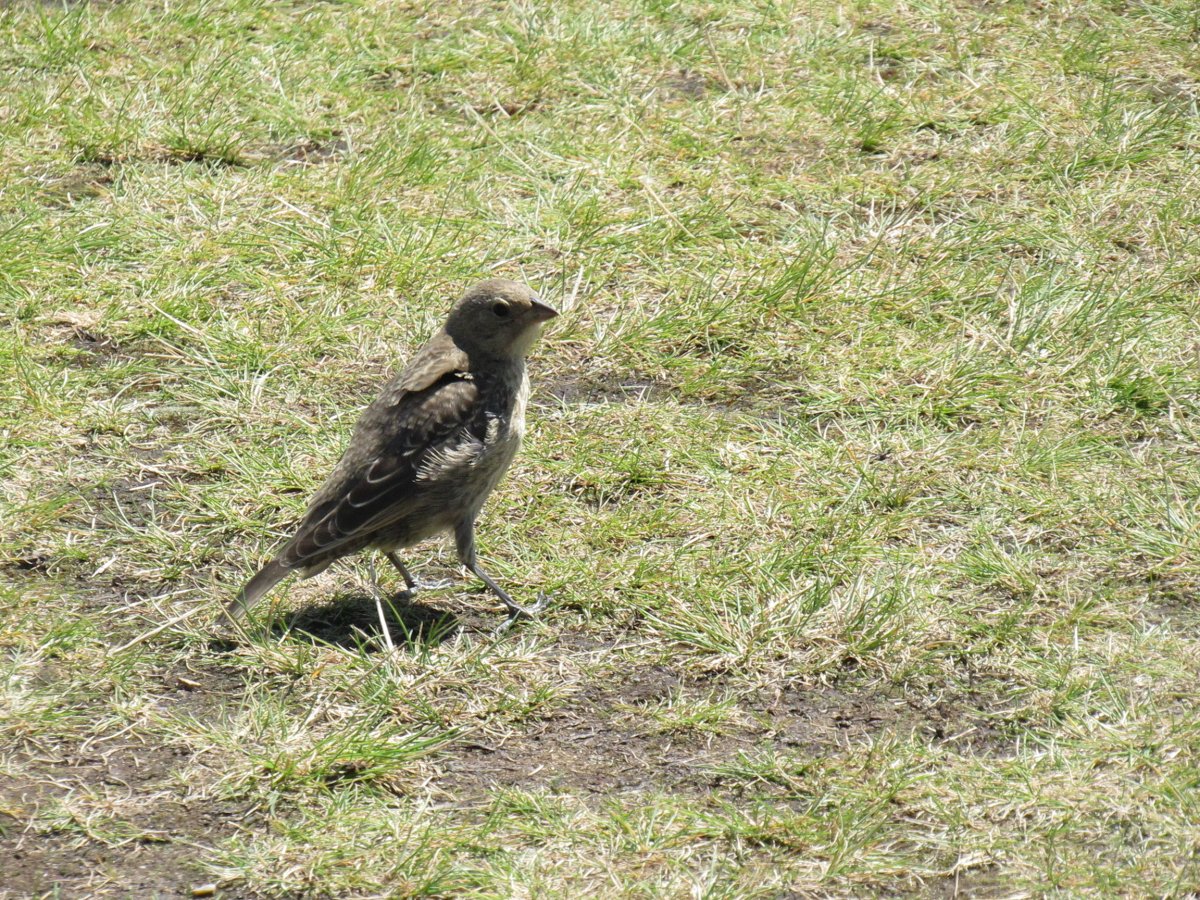 IMG_5278.JPG