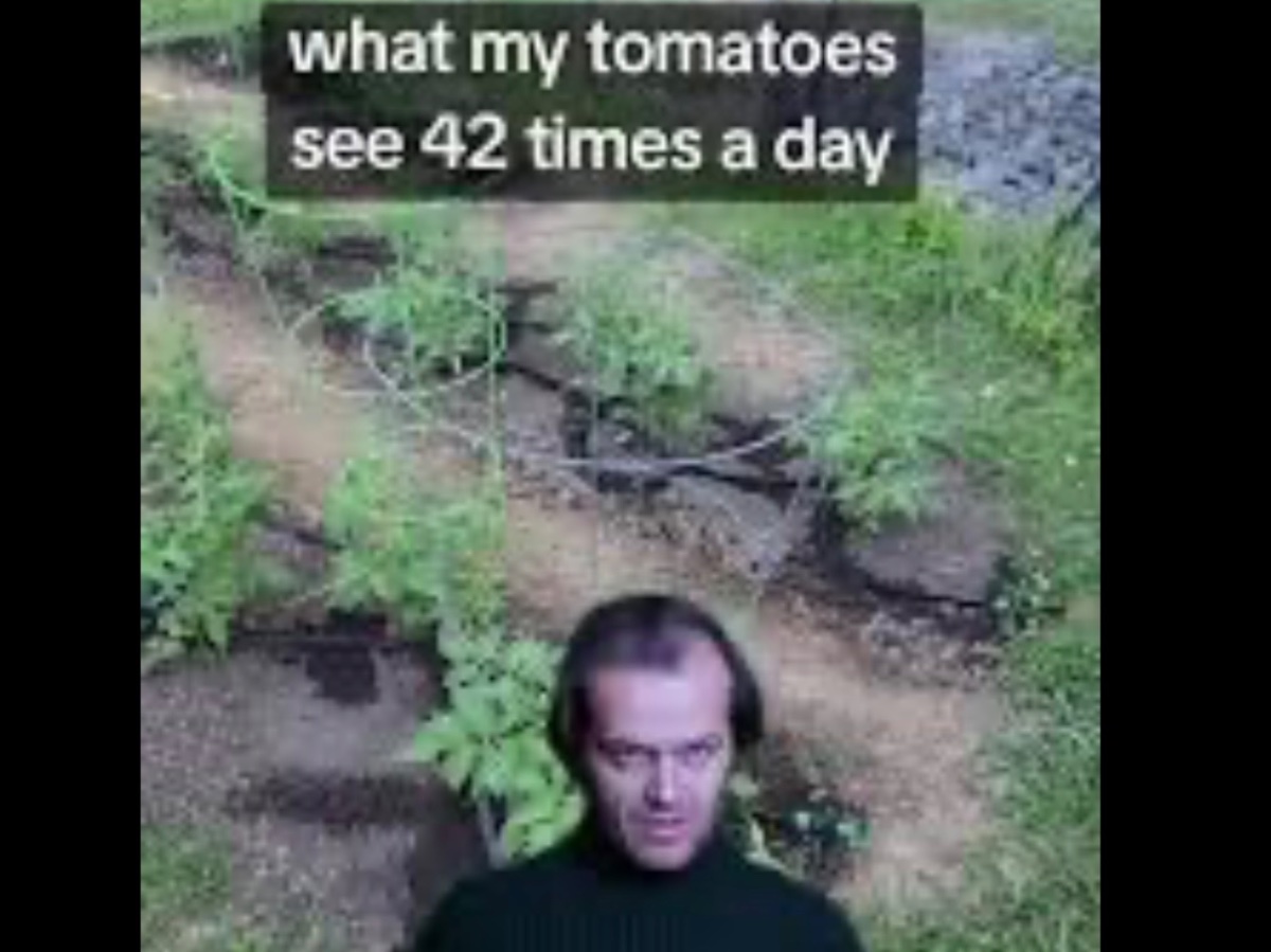 IMG_5317.jpeg