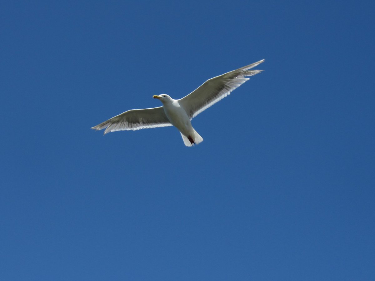 IMG_5376.JPG