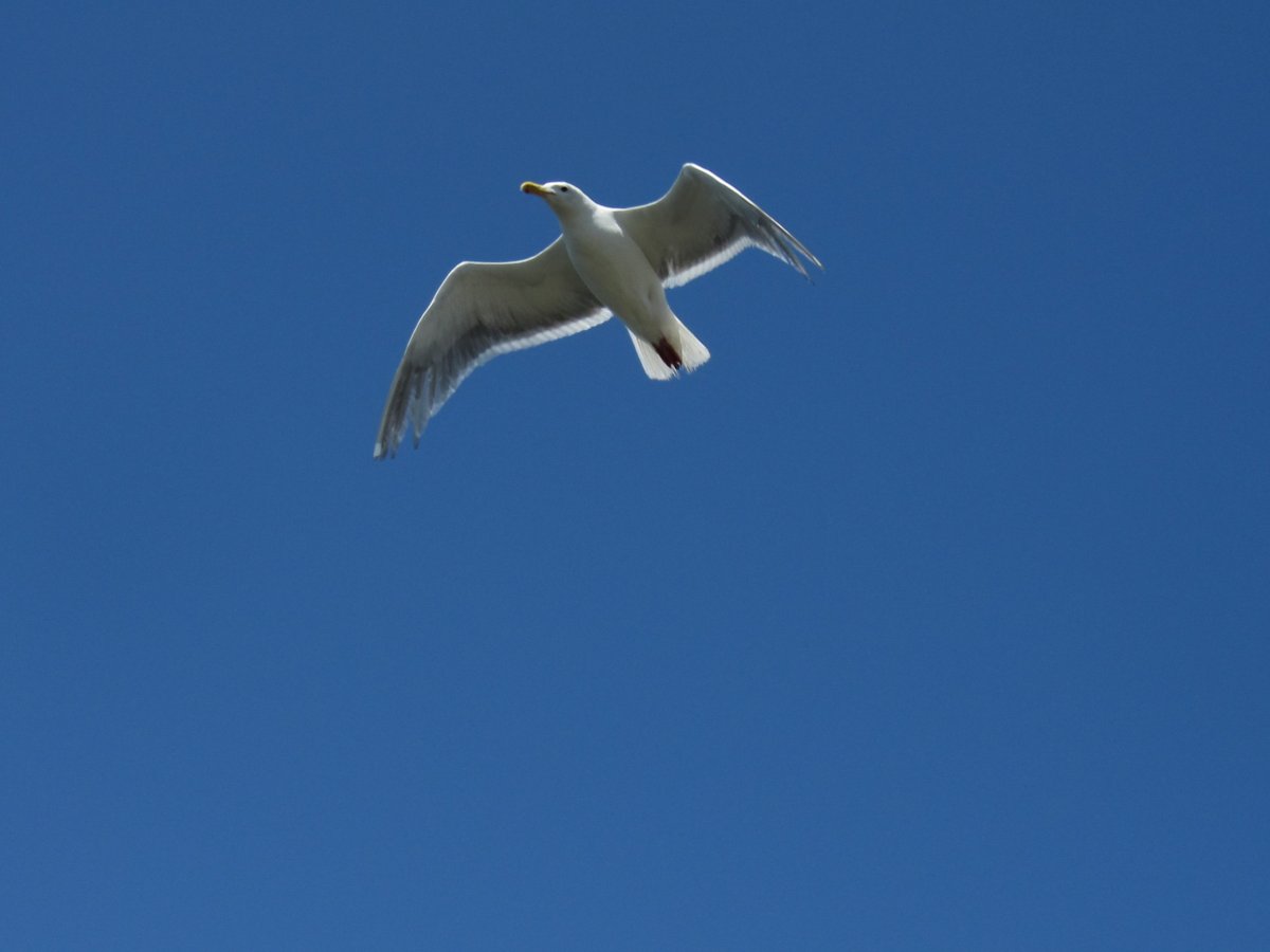 IMG_5377.JPG