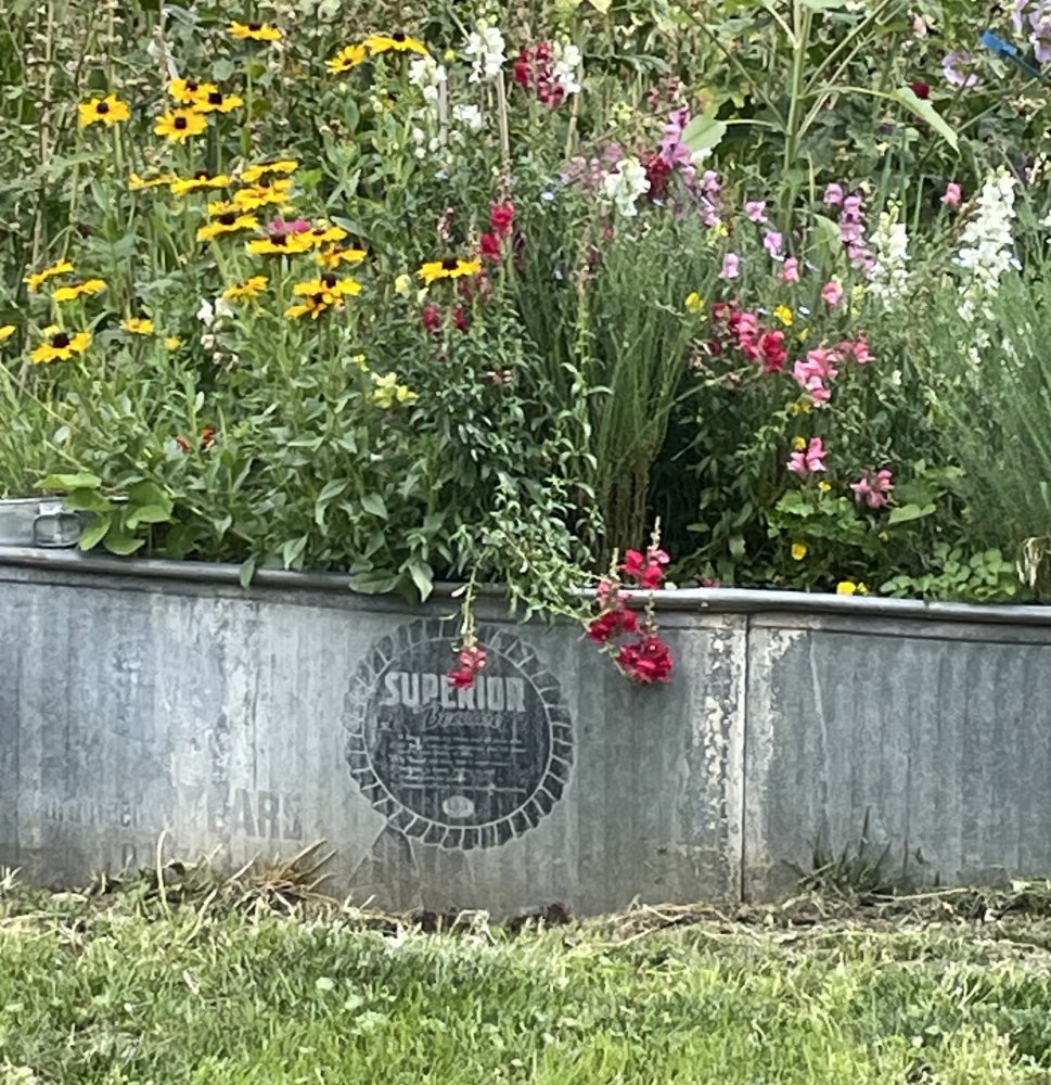 IMG_5538.jpeg
