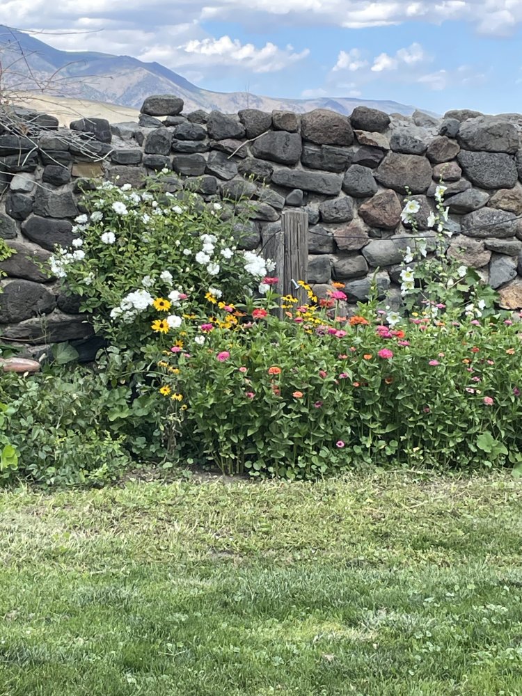 IMG_5539.jpeg