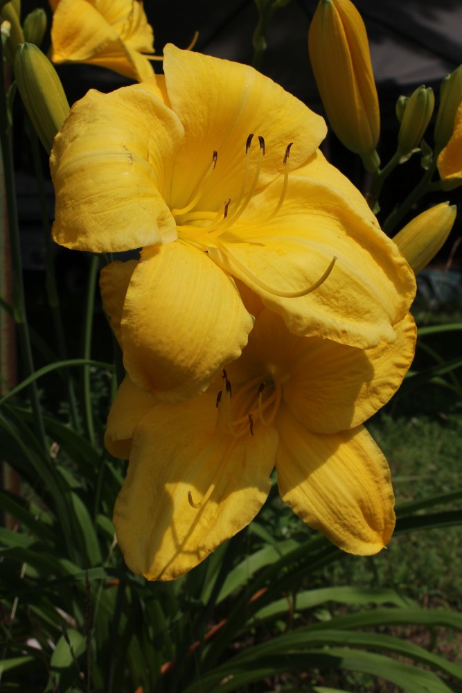 IMG_6166.JPG