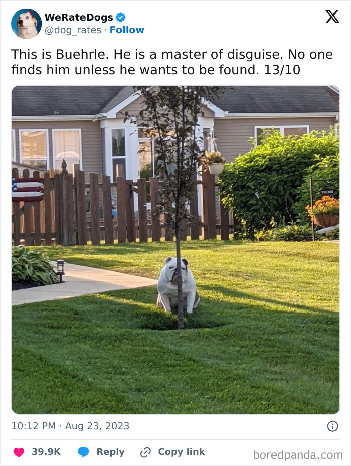 IMG_6562.jpeg
