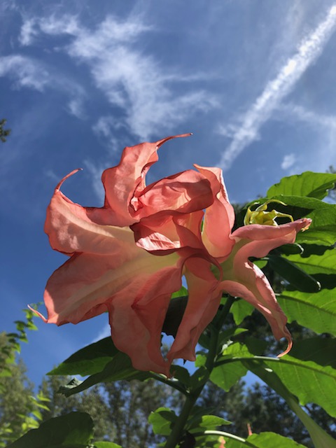 IMG_7861.jpg
