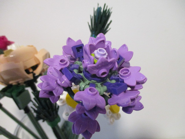 IMG_8312.JPG