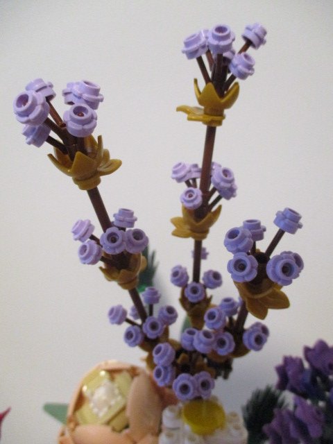 IMG_8317.JPG