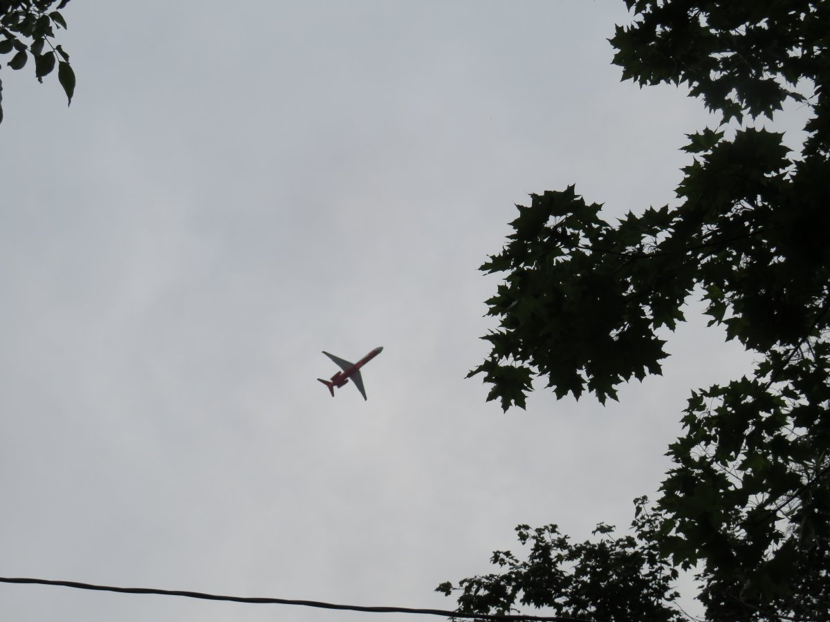 IMG_8709.JPG
