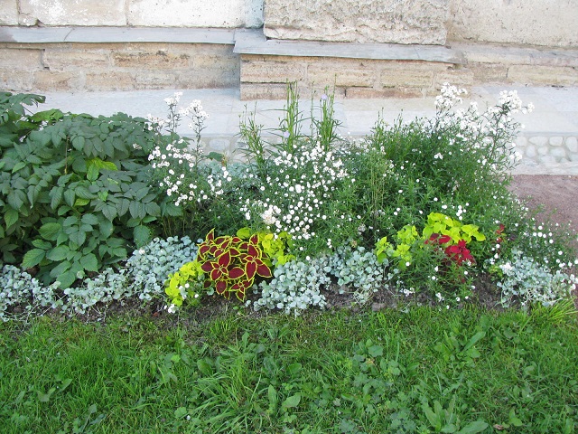 IMG_8758.JPG