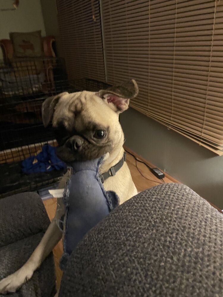 IMG_8984.jpeg