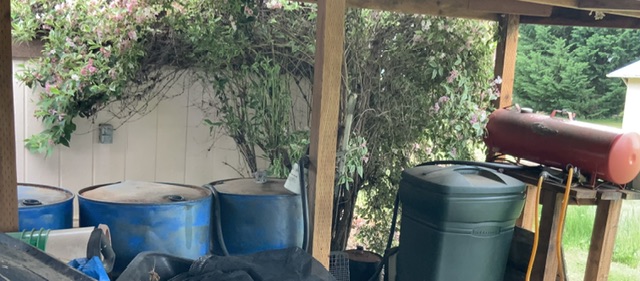 IMG_9810.jpeg