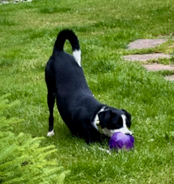 IMG_9872.jpeg
