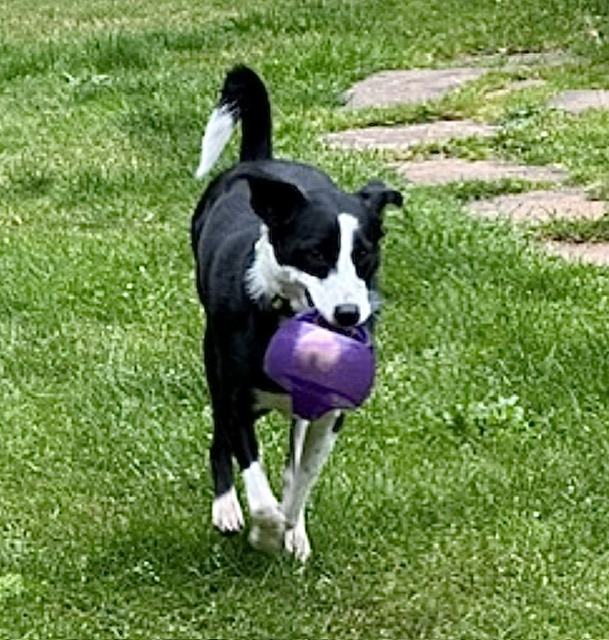 IMG_9873.jpeg