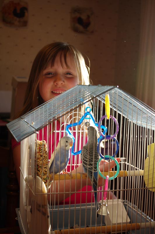 IMGP5804b_web.jpg
