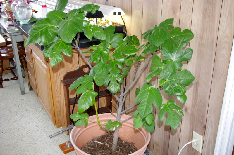 IMGP6390_web.jpg