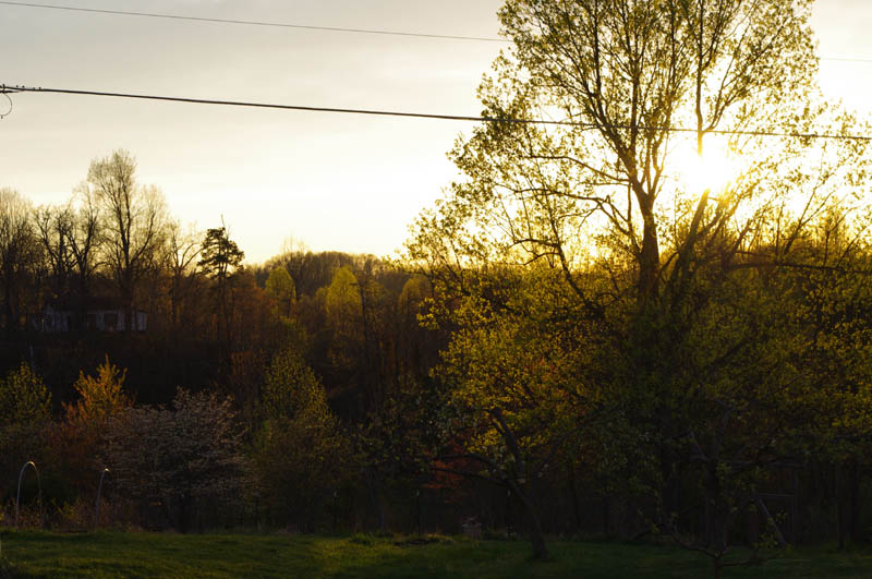 IMGP6552_web.jpg