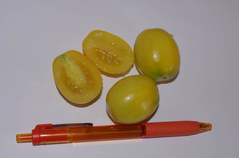 IMGP7152_web.jpg