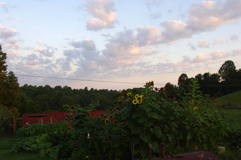 IMGP7219_web.jpg