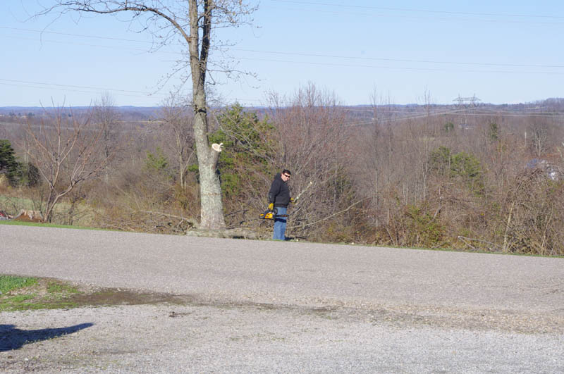 IMGP8872_web.jpg