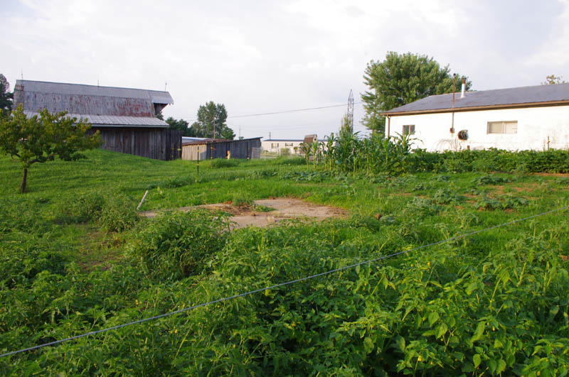 IMGP9891_web.jpg