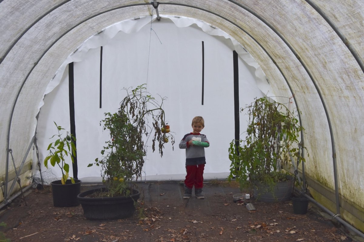 indoor hoophouse TEG.jpg
