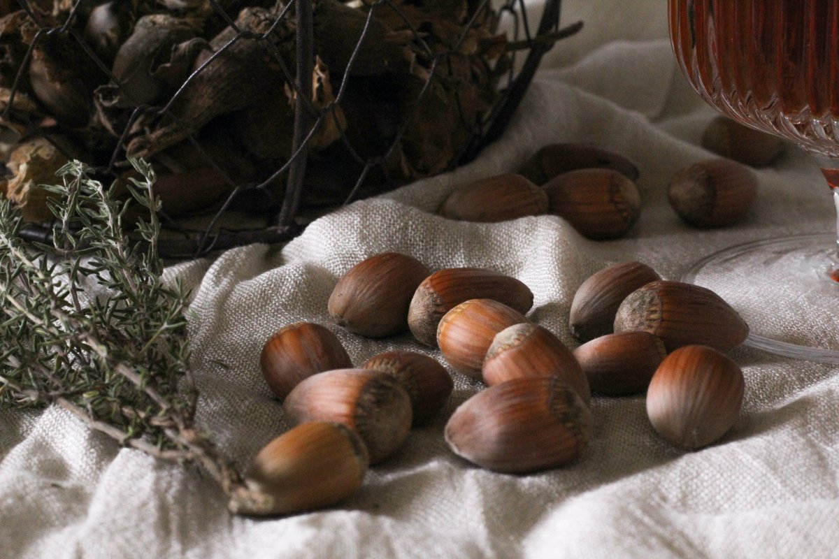 Growing Nuts at Home Growing Nuts at Home