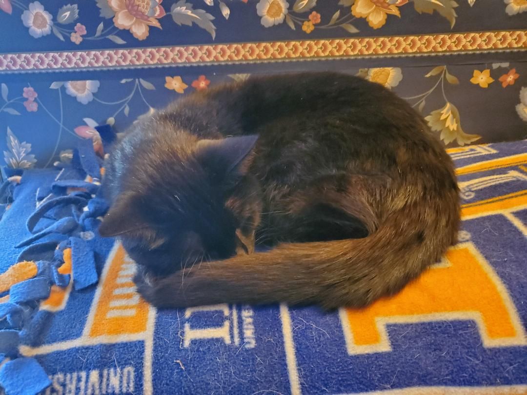 Inky, March, 2022.jpg