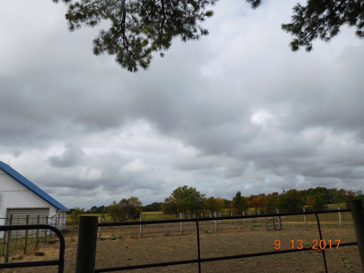 Irma drizzle, 09-13-17.jpg