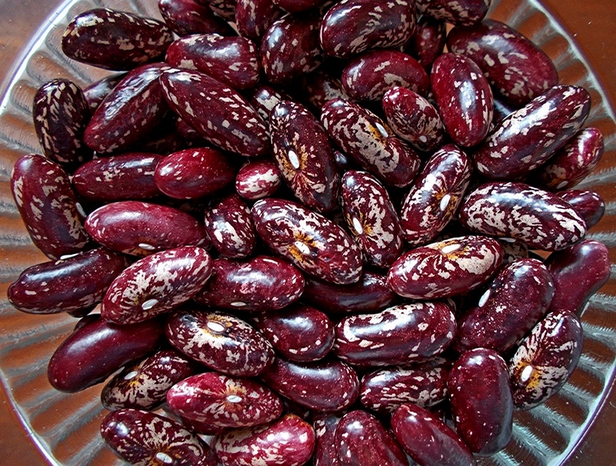 IroquoisCornbreadTEBN.jpg