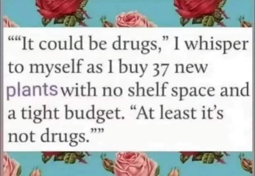 it could be drugs.jpg