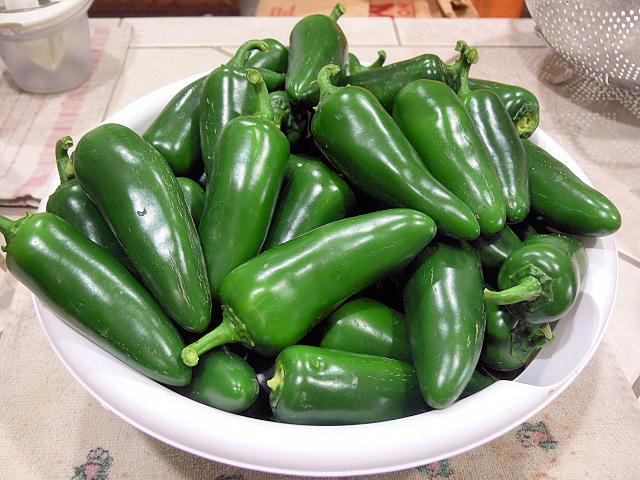 Jalapenos_Harvest_061317.jpg