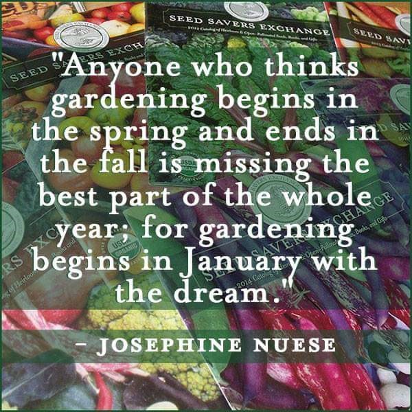 january gardening.jpg
