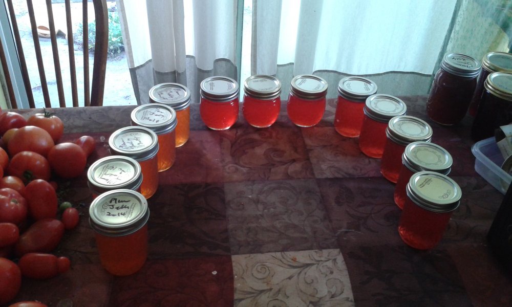 jelly and tomatoes.jpg