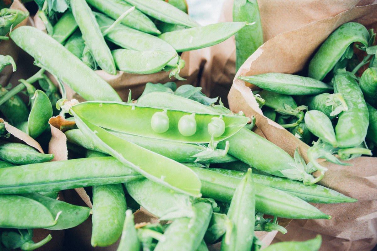 The 10 Easiest Vegetables to Grow In Your Garden From Seeds