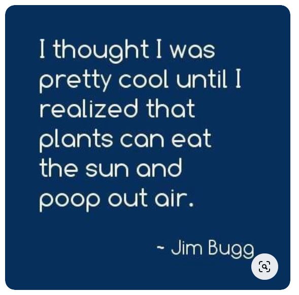 Jim Bugg.JPG