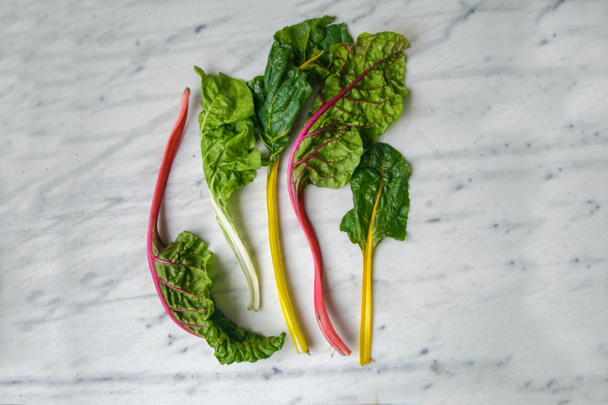 The 10 Easiest Vegetables to Grow In Your Garden From Seeds The 10 Easiest Vegetables to Grow In Your Garden From Seeds
