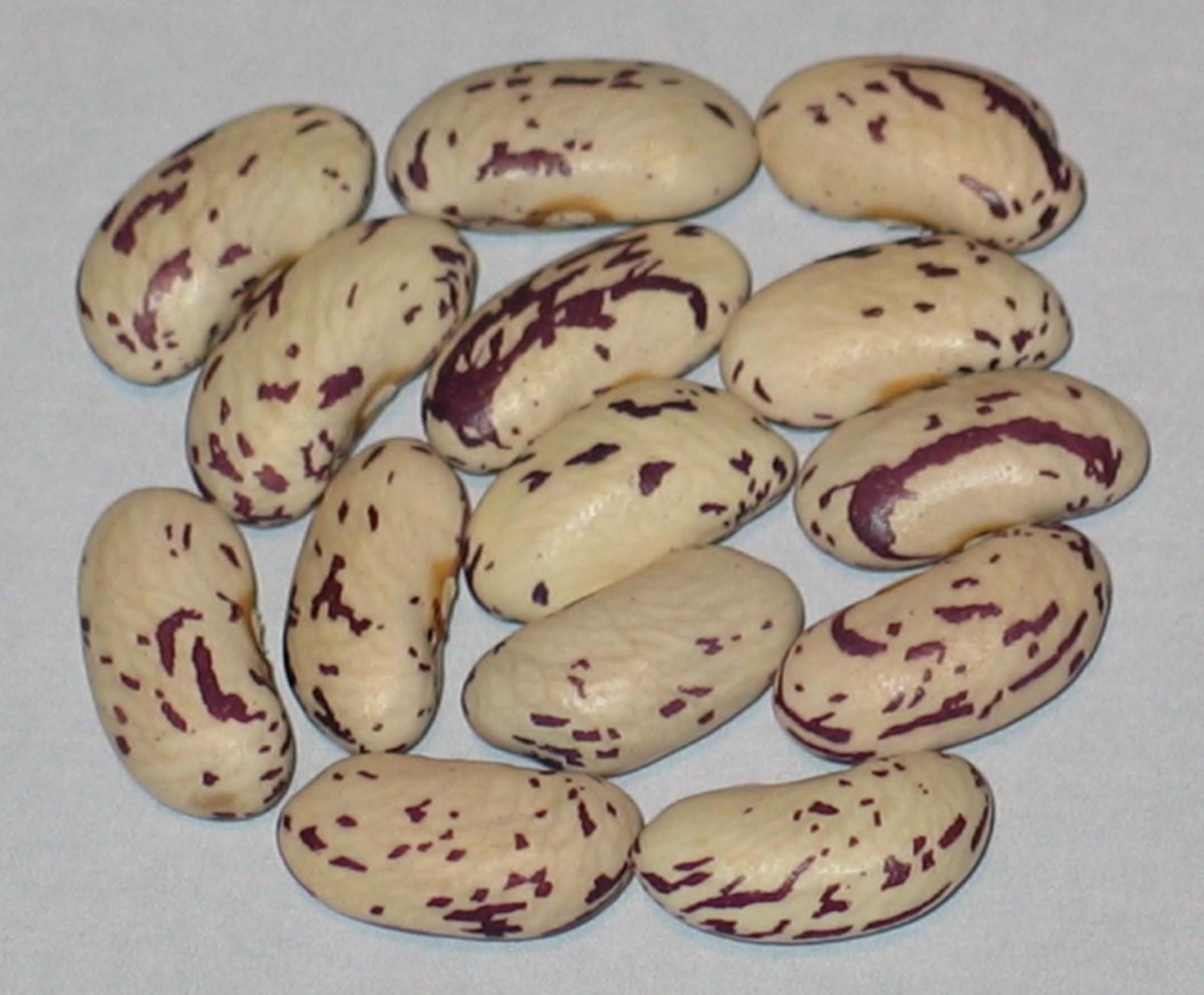 John's Bean.jpg