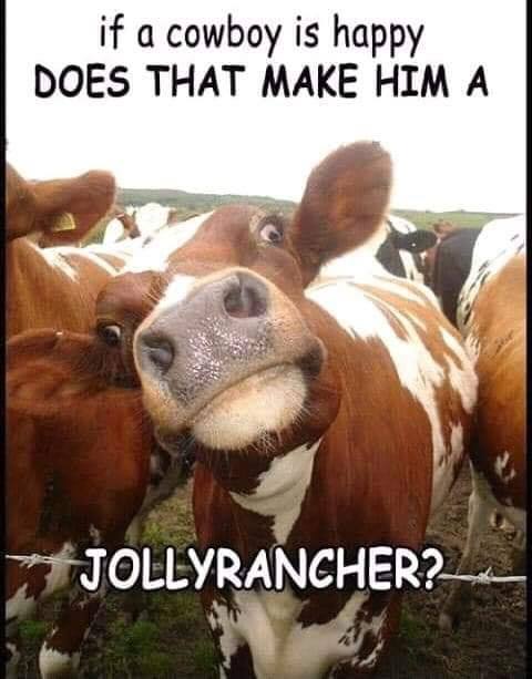 jolly rancher.jpg