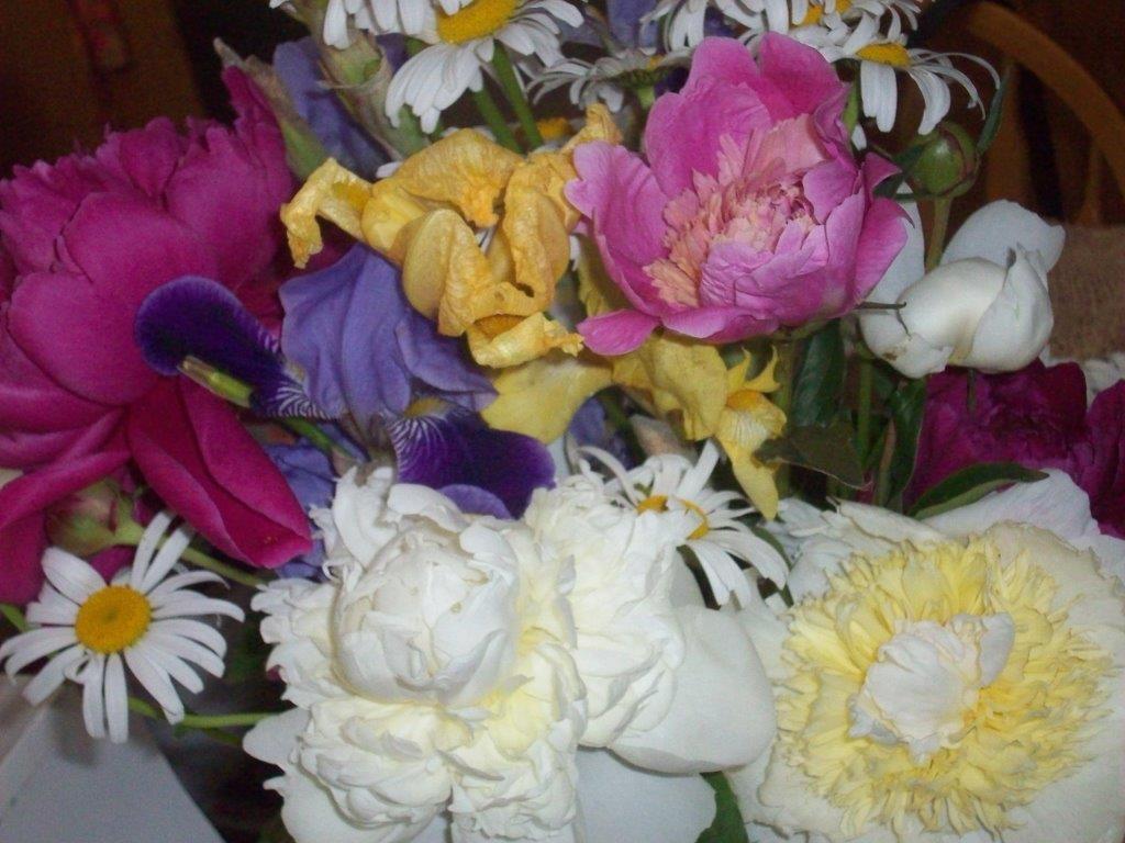 june2020 006.jpg