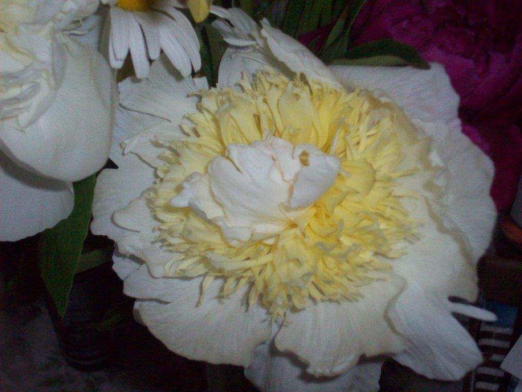 june2020 007.jpg