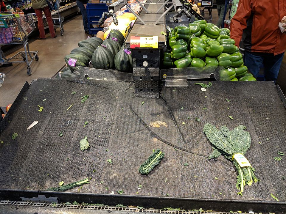 Kale.jpg