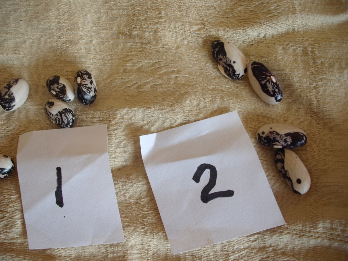 Kara 1 and 2 Beans.JPG