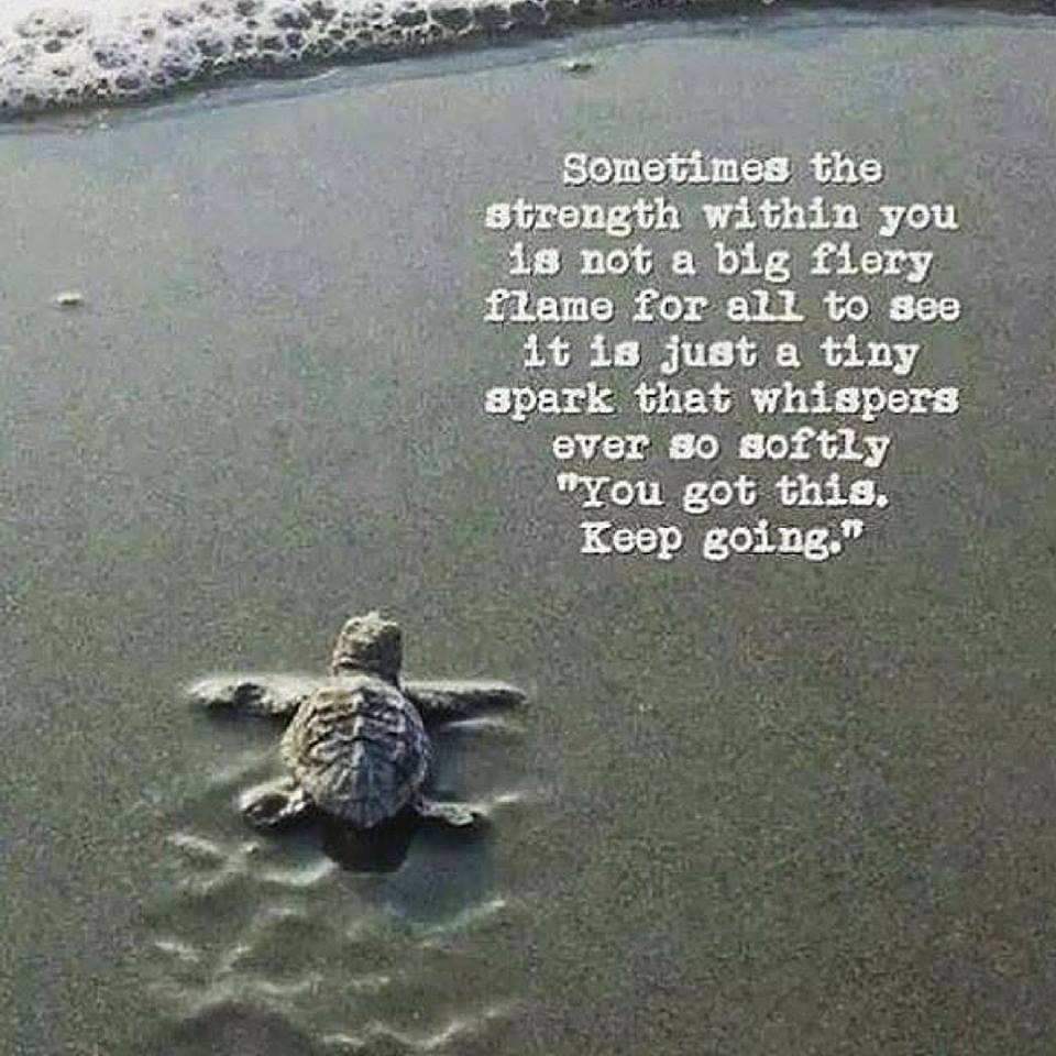 keep going.jpg