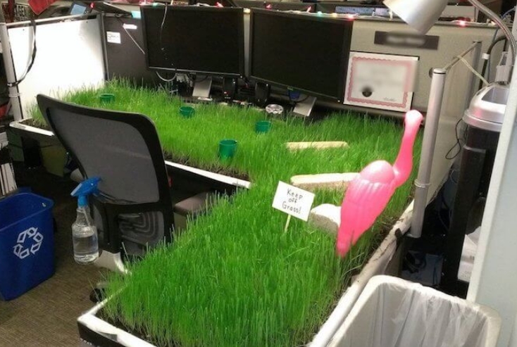 Keep-Off-The-Grass.jpg