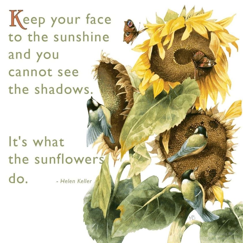 keep you face to the sun.jpg