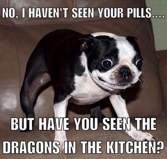 kitchen dragons.jpg