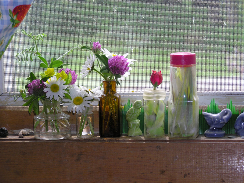 KitchenWindowSill11Jun2009.png