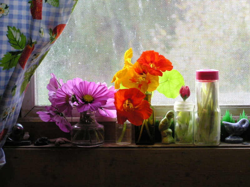 KitchenWindowsillLastSummerFlowers11Oct2009b.png