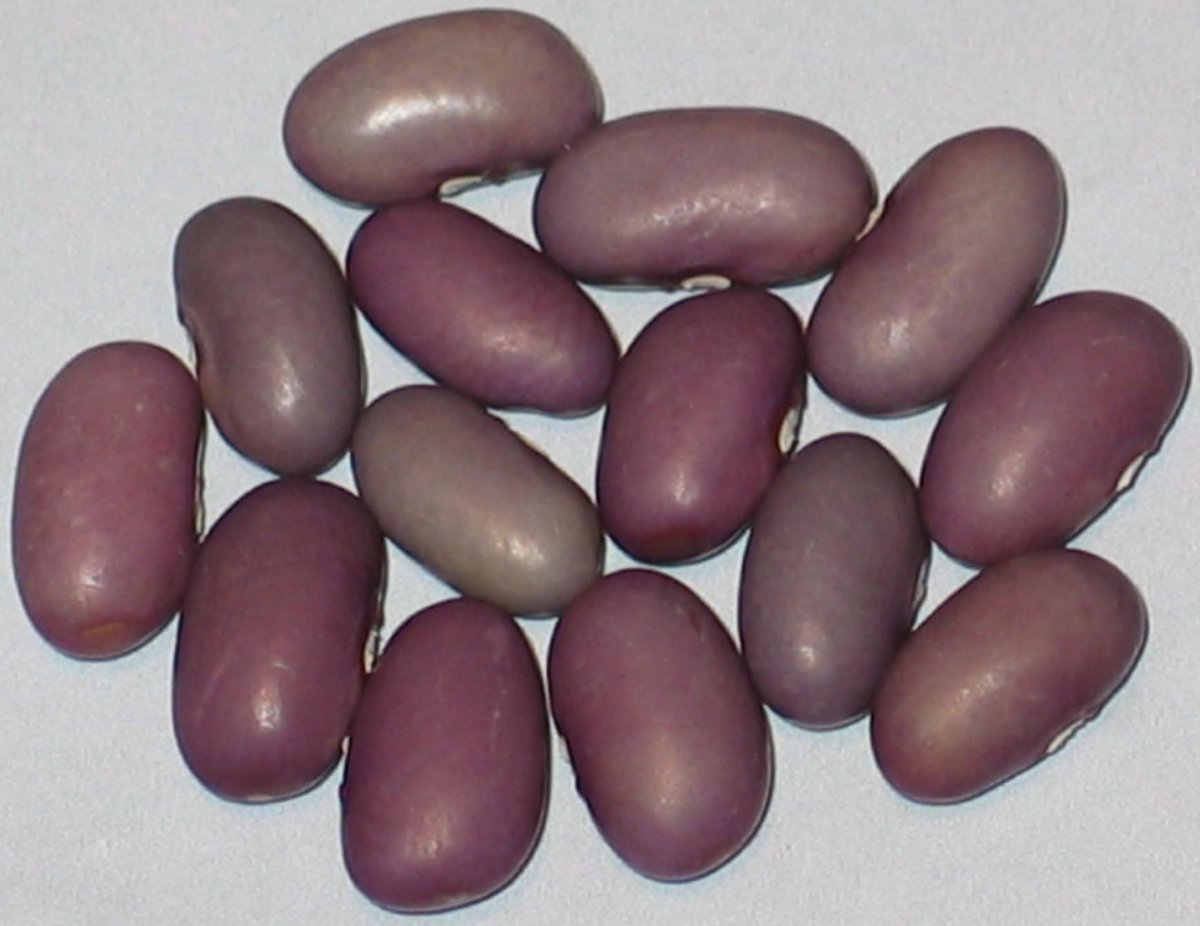 Kitoba.jpg