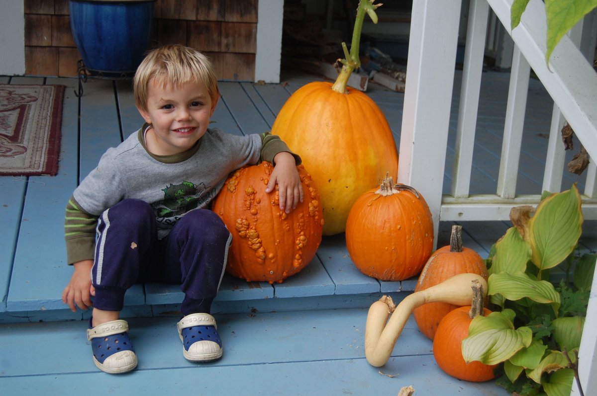 landon and pumpkins.jpg